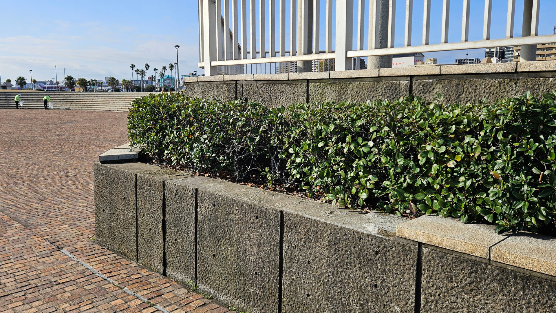 道守ボランティア清掃の様子