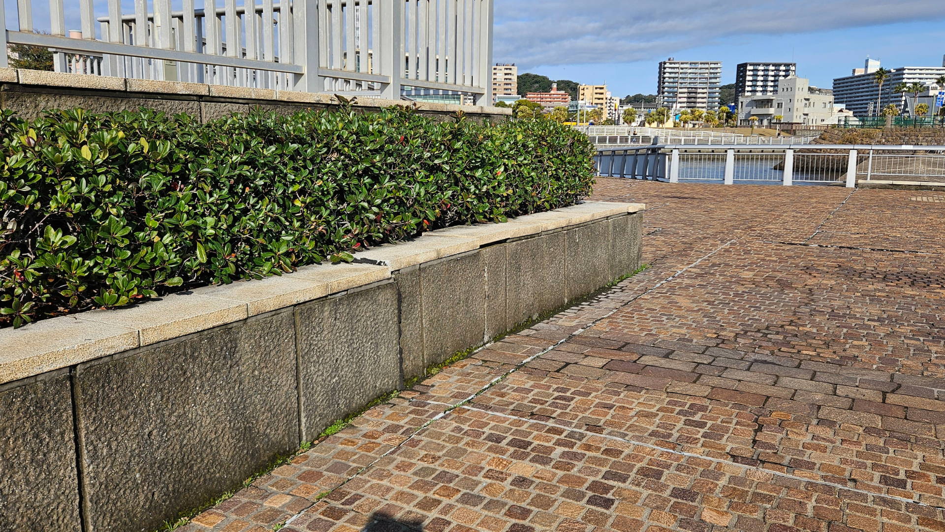 道守ボランティア清掃の様子